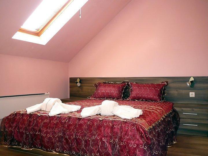 Tzvetelina Palace Hotel Dolna Banya Quarto foto