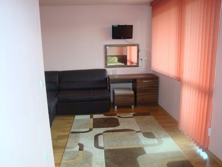 Tzvetelina Palace Hotel Dolna Banya Quarto foto